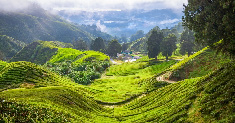 hill resorts of pahang malaysia